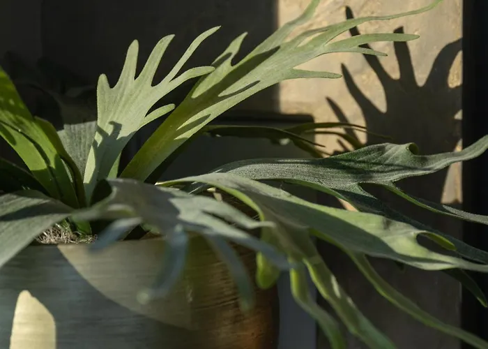 Alpine Penthouse In Der Residenz Silvretta - Stunning & Luxurious 湖城